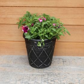 Berry Bliss 25cm Container